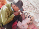 Cambodia